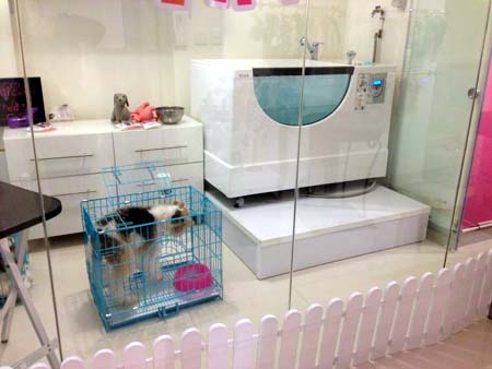 顶级宠物牛奶浴缸-香港铜锣弯